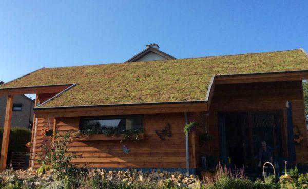 groen dak aanleg hellend dak